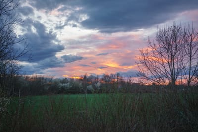 Зеркало Будущего Понедельника.