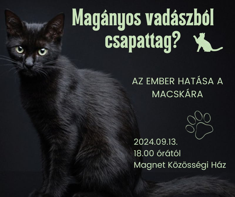 Magányos vadászból csapattag? Előadás