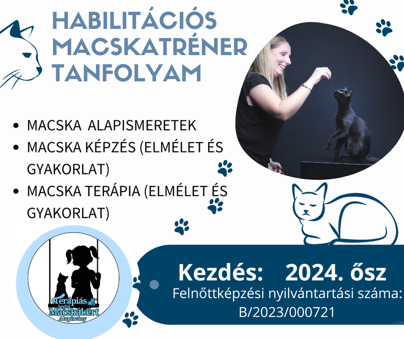 Habilitációs macskatréner tanfolyam