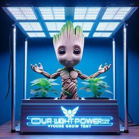 Notre Tableau De Puissance Lumineuse