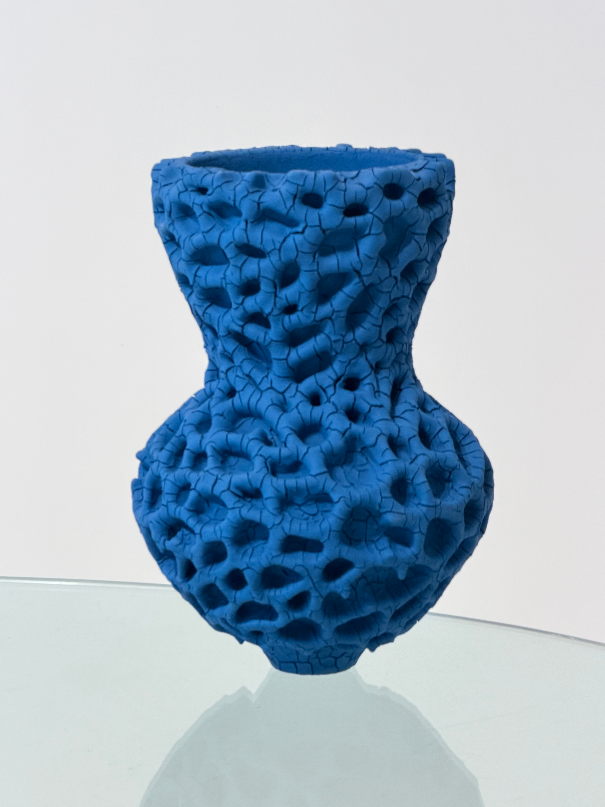Blue Ballustre Coral