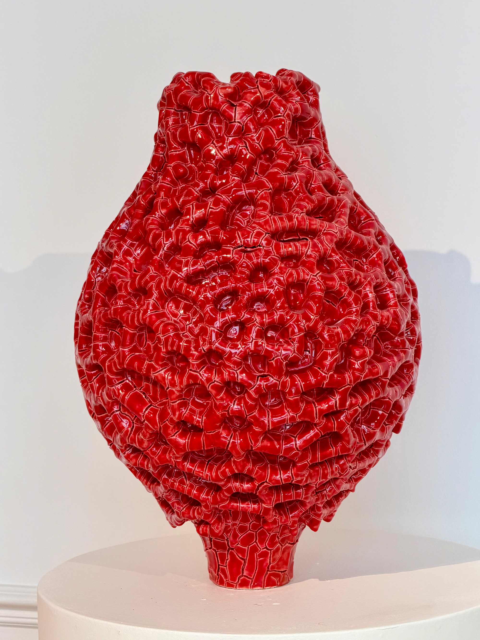 Red Coral