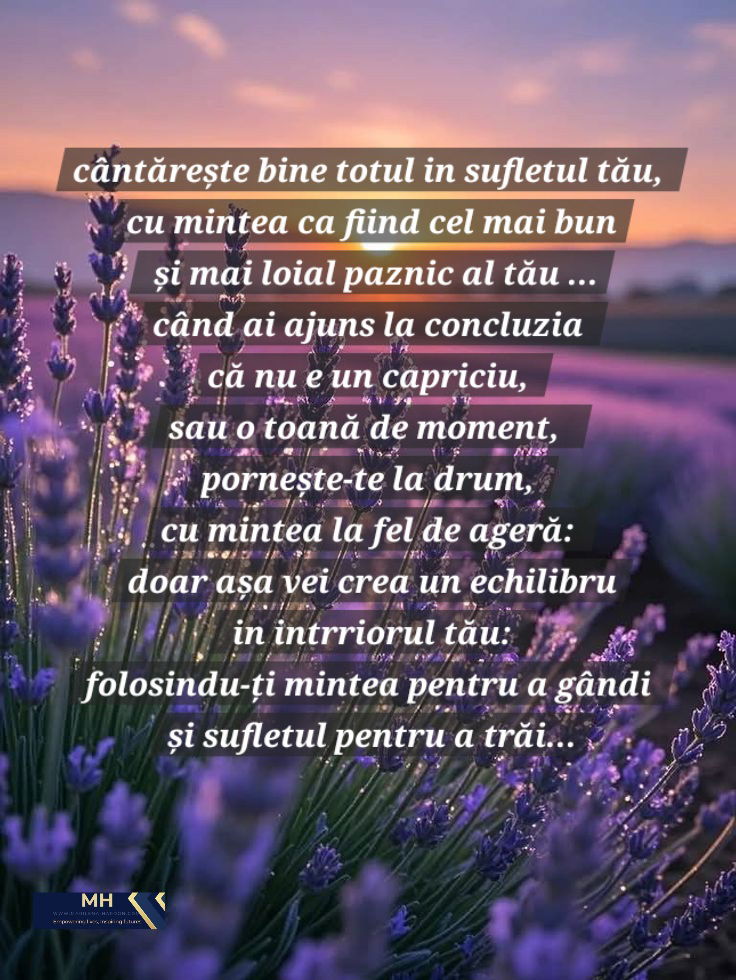 Lavanda - echilibrul dintre minte, trup și spirit