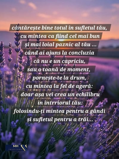Lavanda - echilibrul dintre minte, trup și spirit