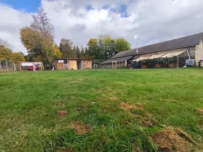 PENSION CANINE  image