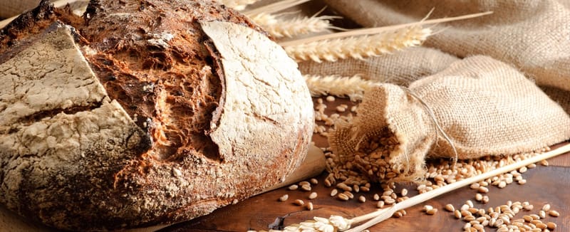 Bread Feast - Spiritual Disciplines for Godliness.