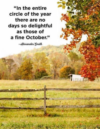 October is here!