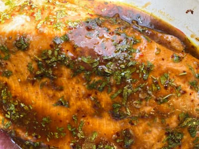 דג סלמון בטריאקי של רפאל אחי !!