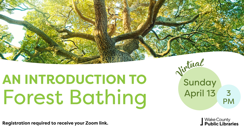 Forest Bathing - Virtual