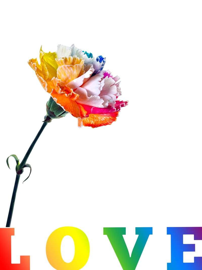 LGBTQIA+ Resilience through hard times