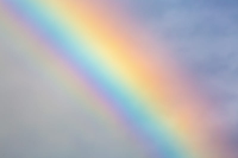 Forest Bathing for LGBTQIA+ and allies