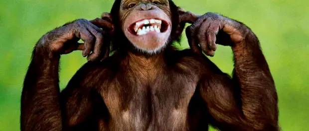 Complessita’ irriducibile, la sconfitta dell’evoluzionismo