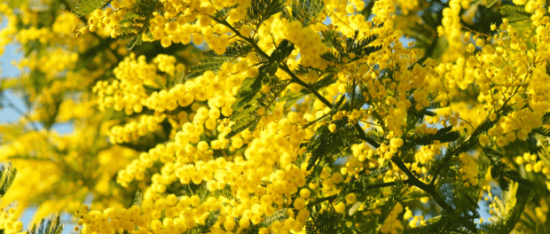 L’ OTTO MARZO DELL’ IPOCRISIA