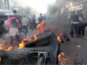 Ordine o Caos: L’Organizzazione come Legge della Sopravvivenza