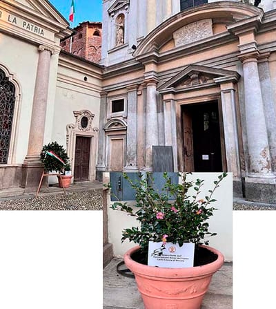 Piante sostituite davanti a San Giovanni Decollato dall'Associuazione Amici del Teatro Carlo Coccia di Novara A.P.S.