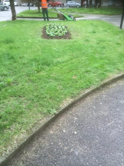 Sponsorizzazione Verde pubblico a Novara