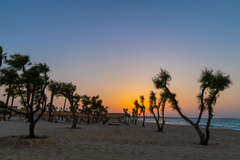 Dinner by Avec Karim 