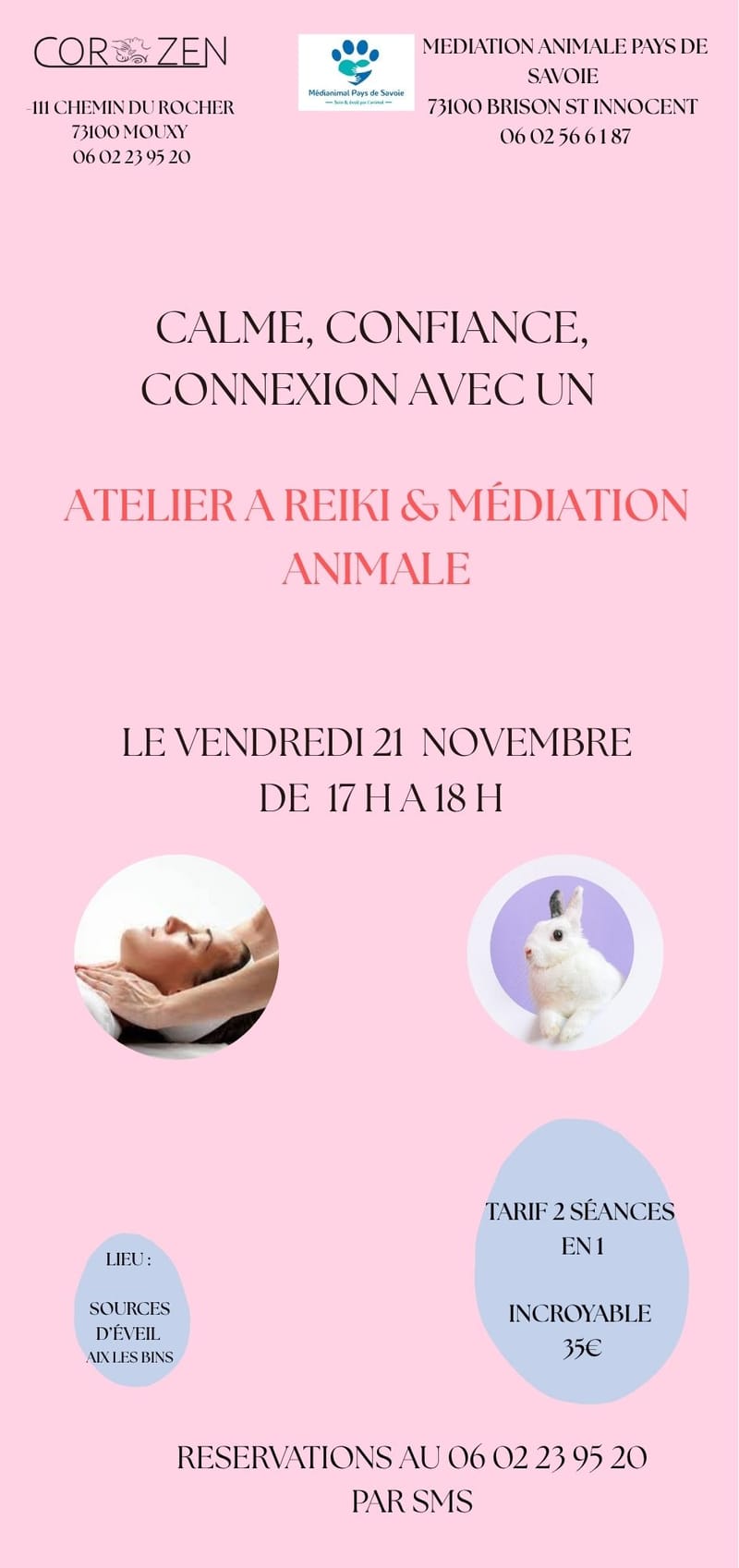 Atelier reiki et médiation animale pour apaiser les tensions