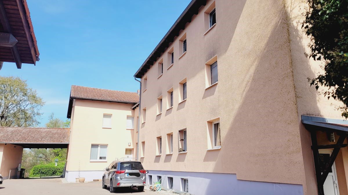 guyot EFH 4