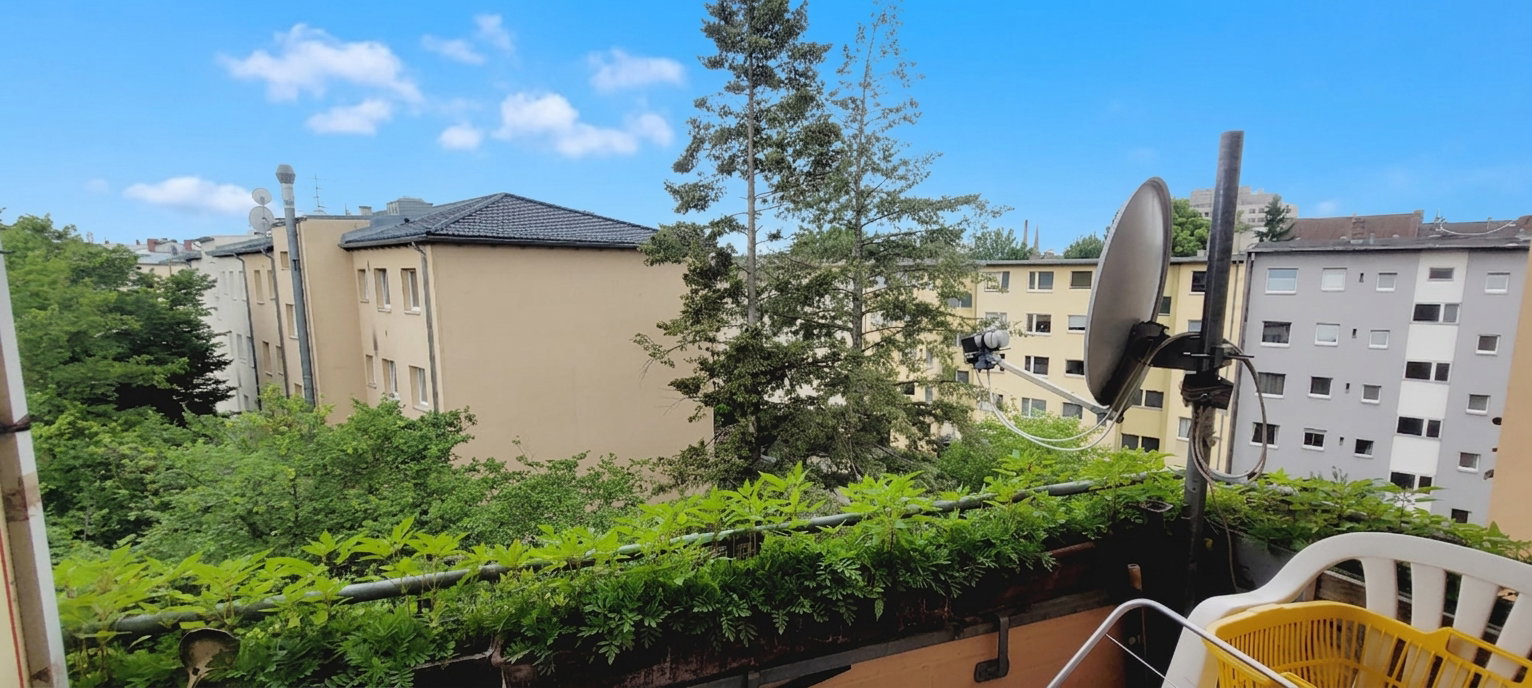 Birken Balkon