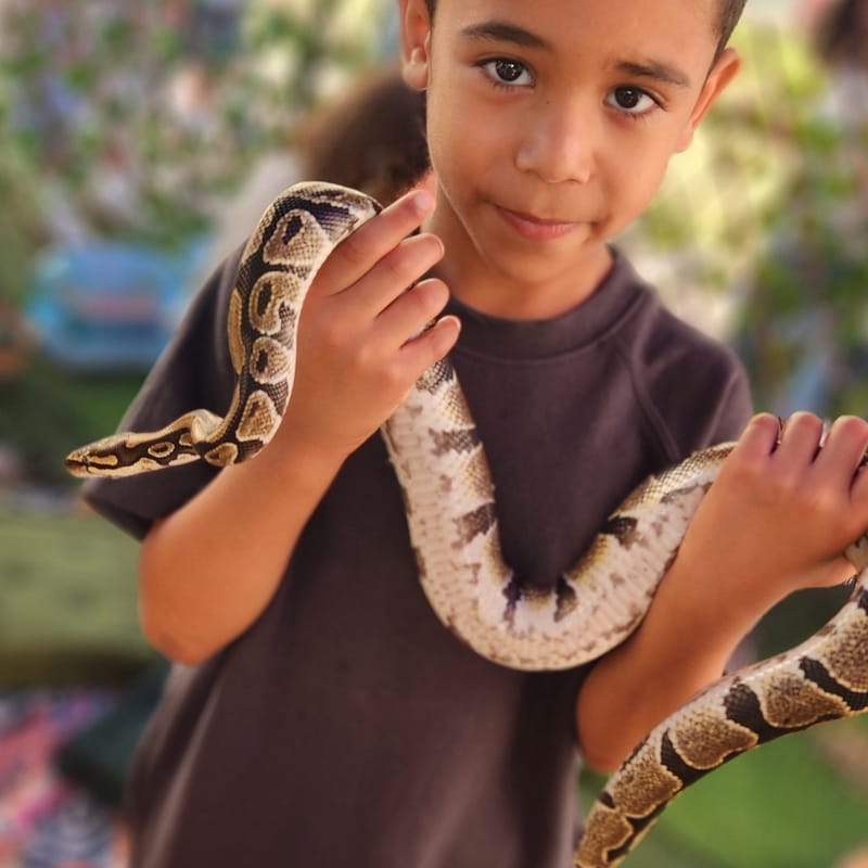 School 10th years celebration!