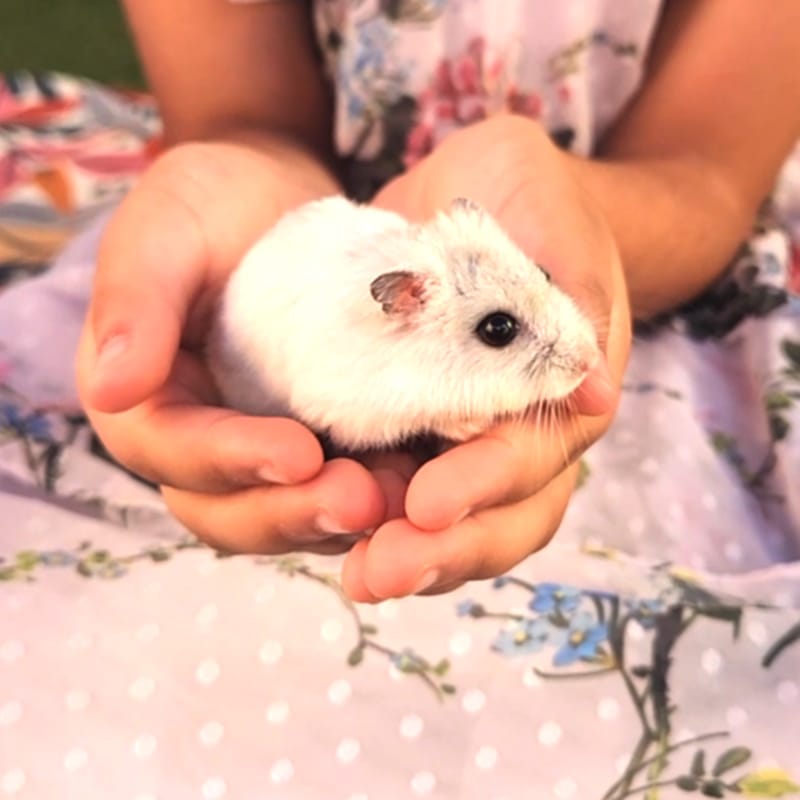 School 10th years celebration!