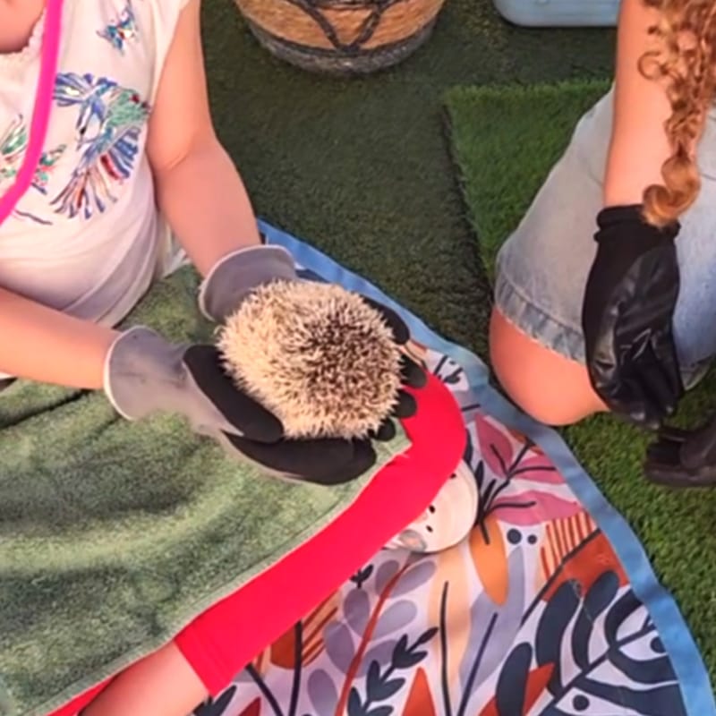 School 10th years celebration!