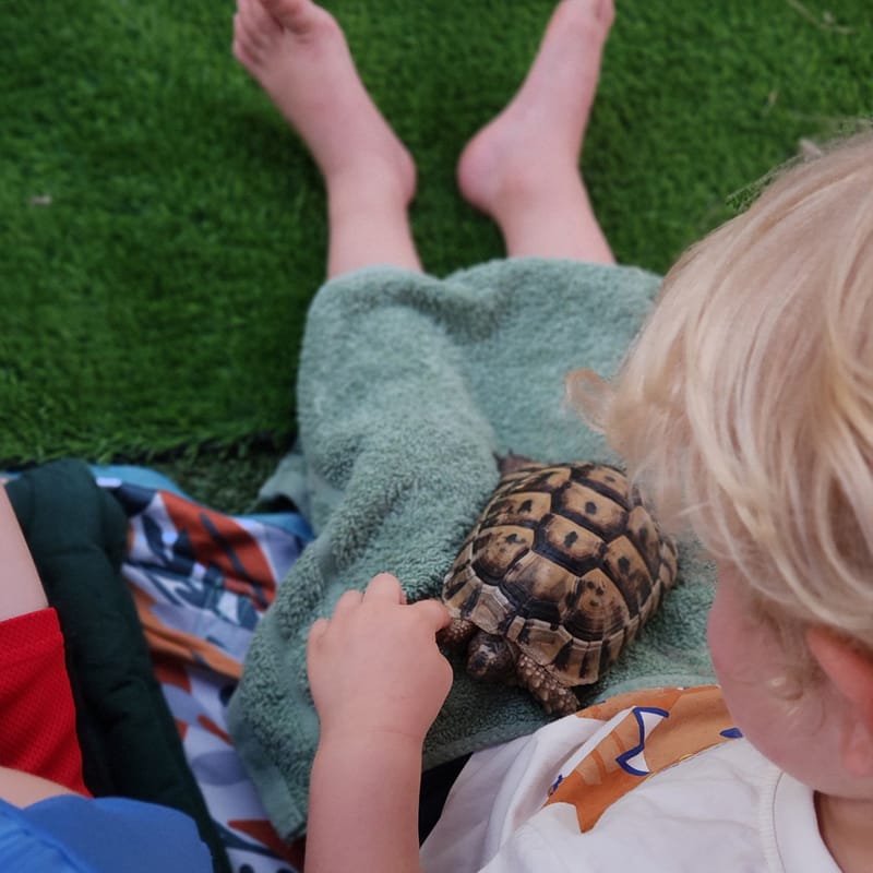 School 10th years celebration!