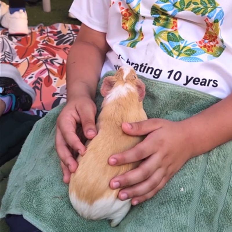 School 10th years celebration!