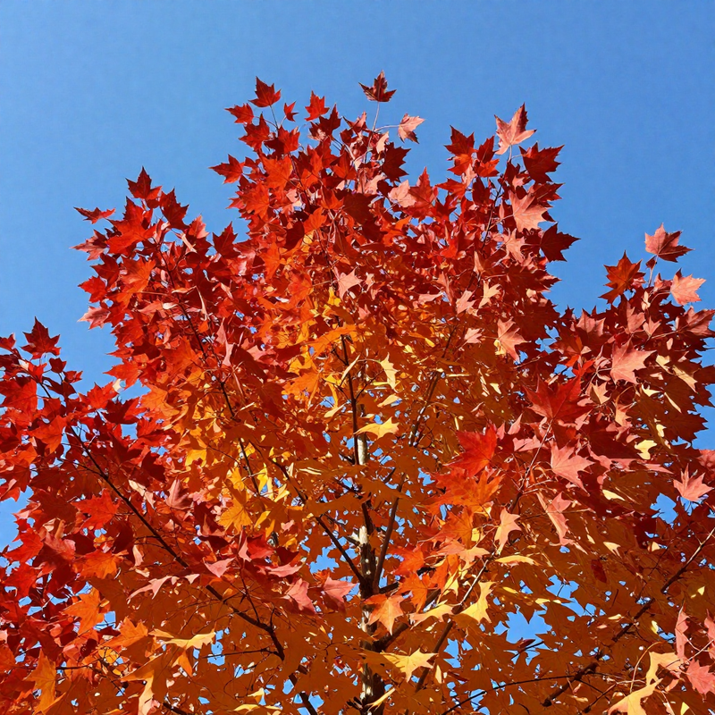 "Синдром конца лета" или как сберечь "внутреннее солнце"