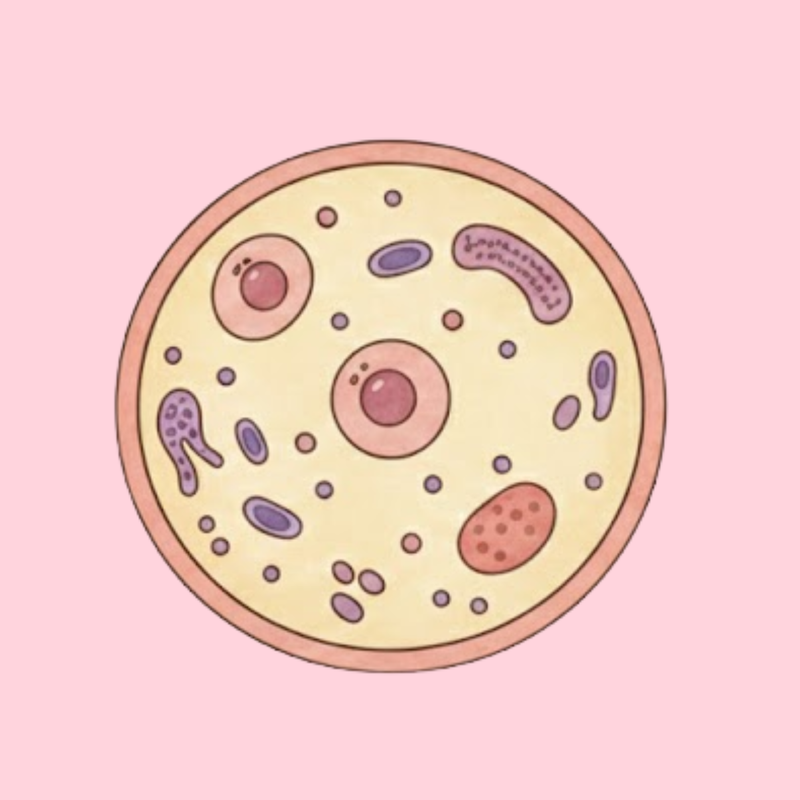 التراكيب الخلوية والعضيات