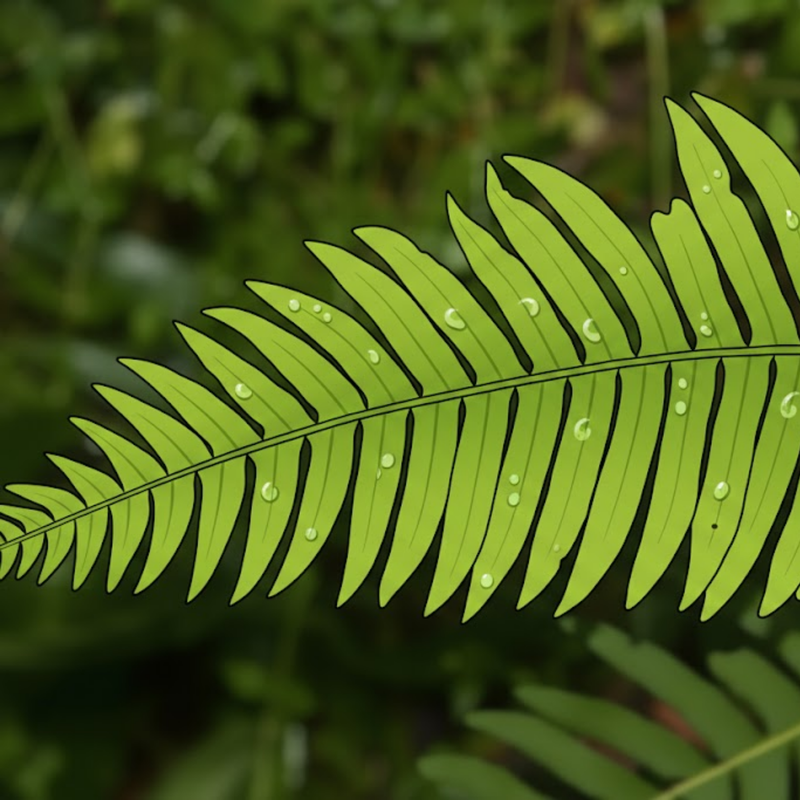 النباتات الوعائية اللابذرية