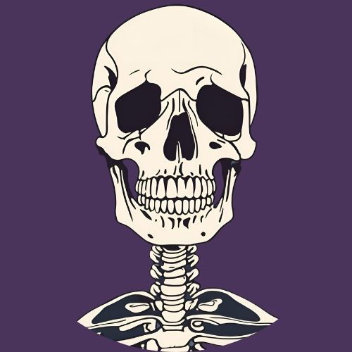 الجهاز الهيكلي