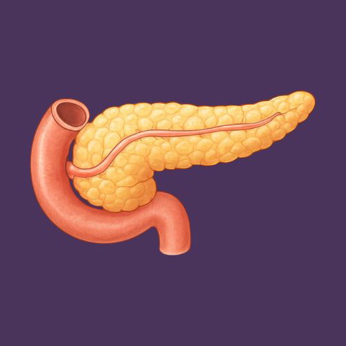 جهاز الغدد الصم