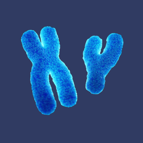 ارتباط الجنيات وتعدد المجموعات الكروموسومية