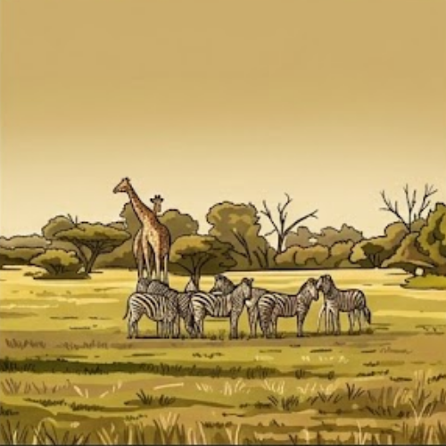 المناطق الحيوية البرية