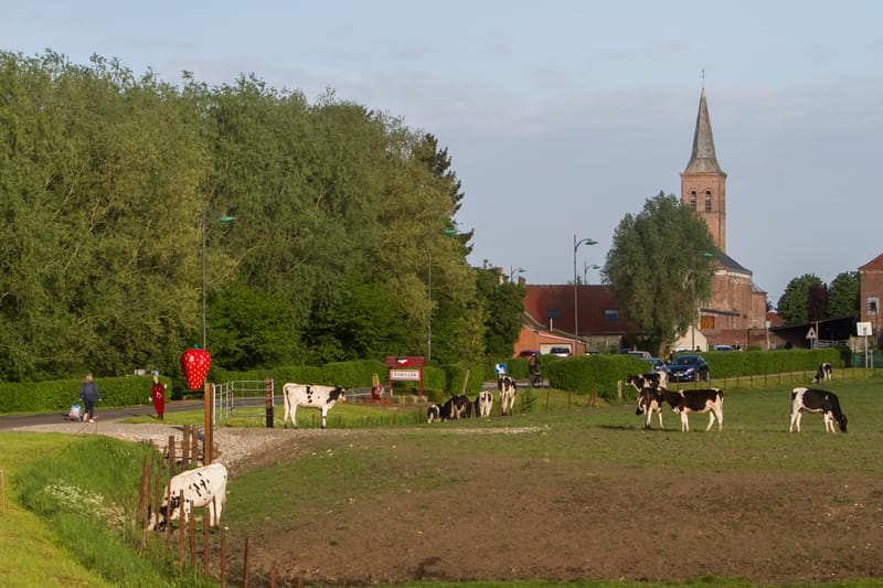 La balade à Ecaillon