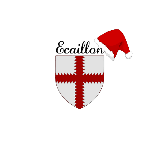 Distribution des coquilles de Noël