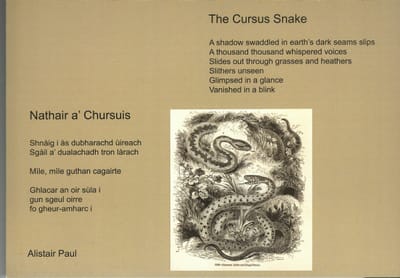 Nathair a' Chursuis