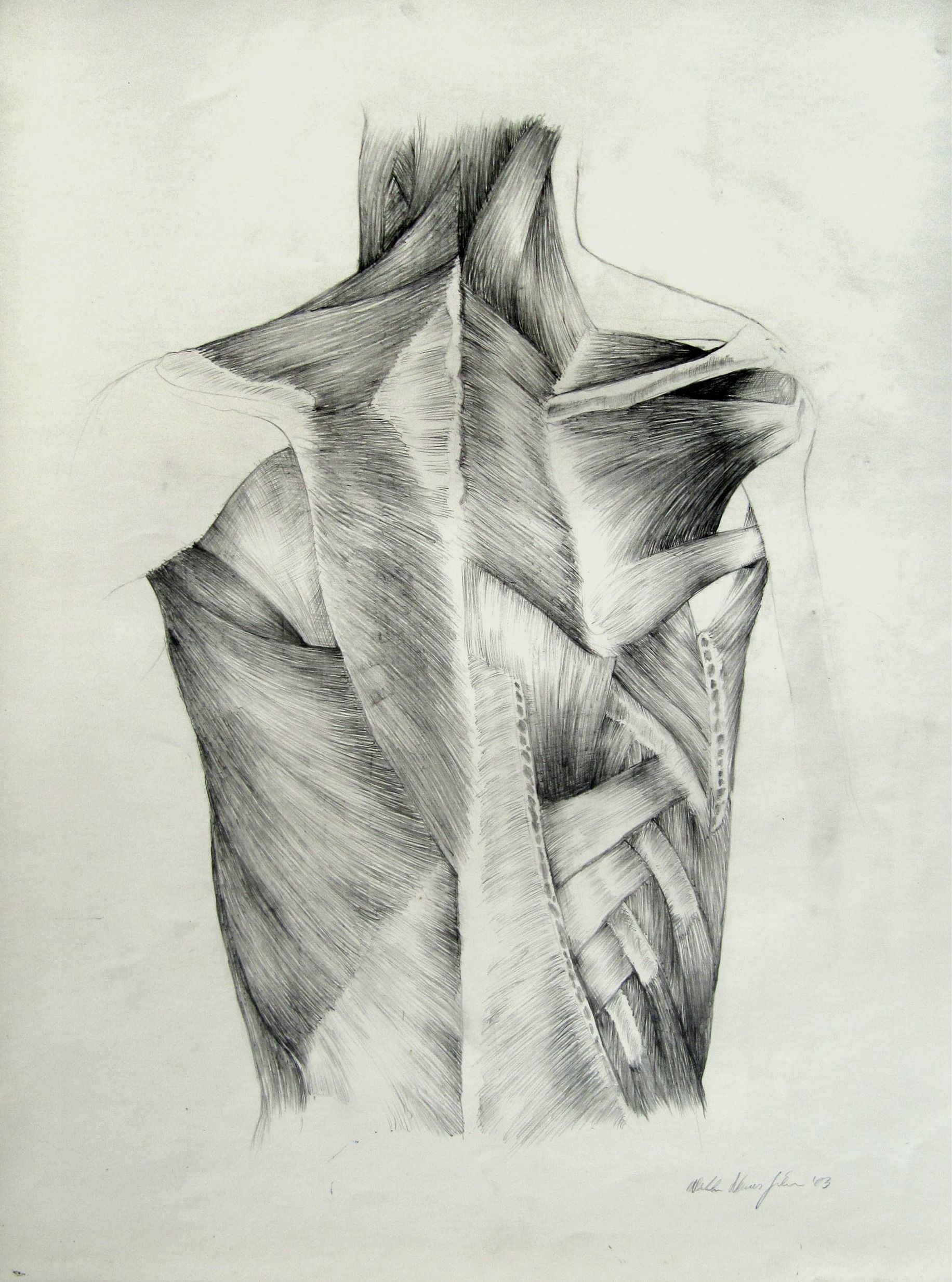 Sketch, No. 11