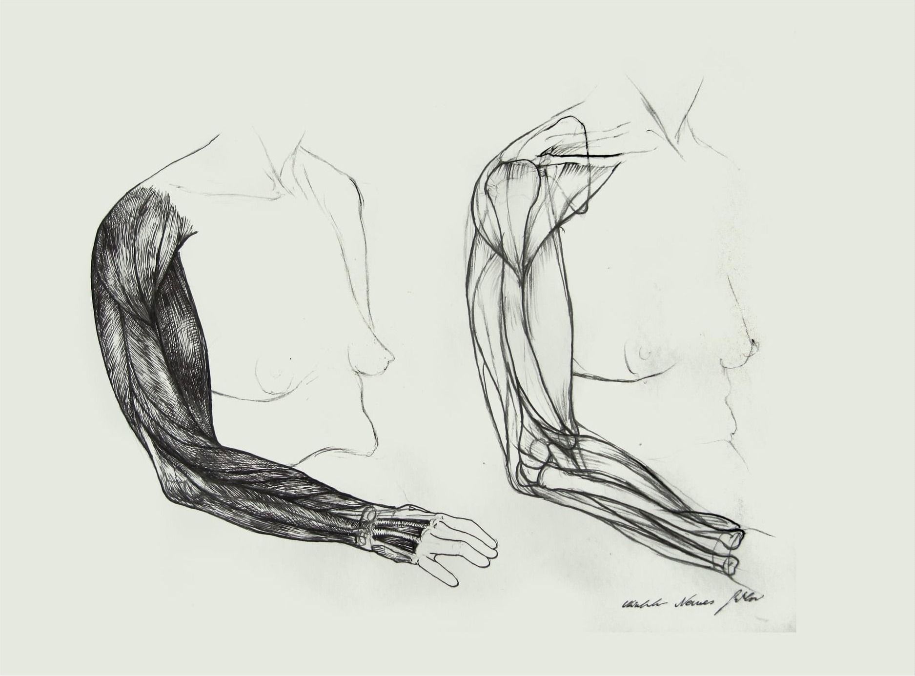 Sketch, No. 6