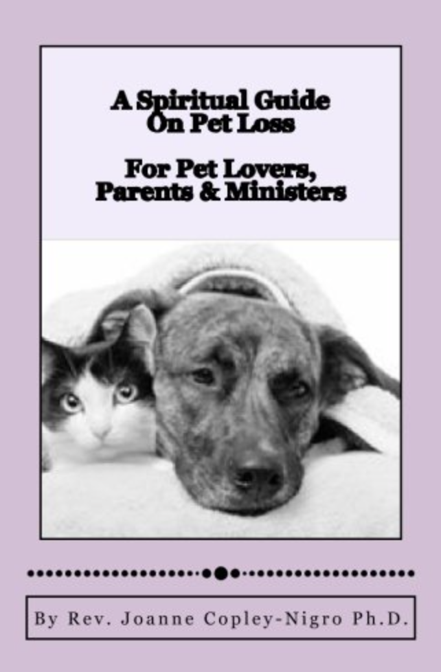 A Spiritual Guide on Pet Loss