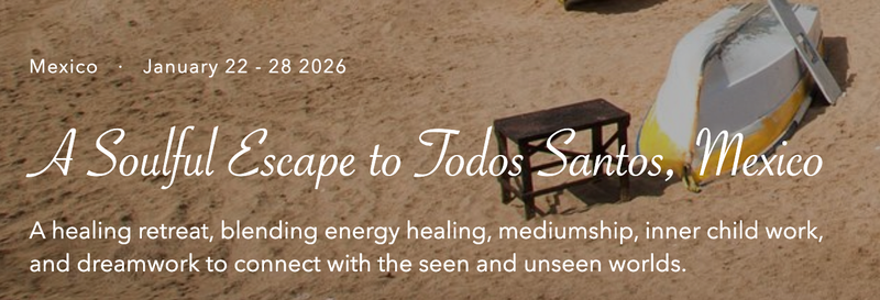 Todos Santos Retreat with Krista Stanley