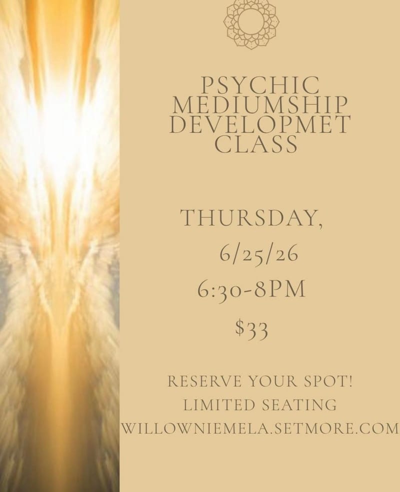 Mediumship Development Circle with Willow Niemela