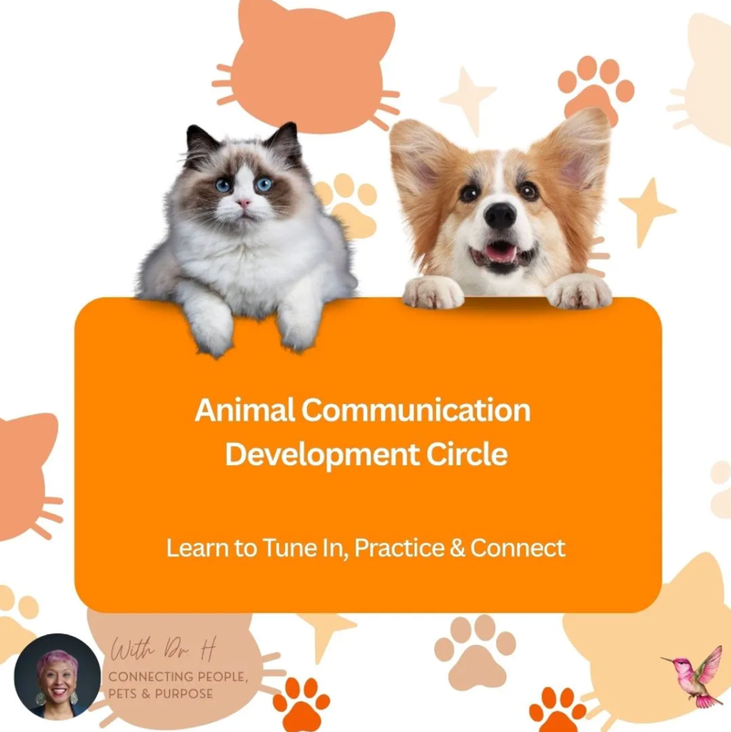 4-Wk Animal Communication Development Circle with Dr Sushma Hallock