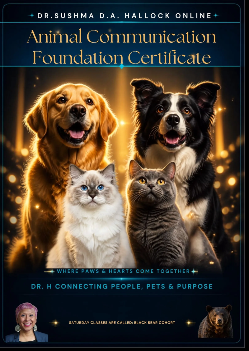 4-Part Animal Communication Foundation Certificate Saturday Program with Dr Sushma Hallock