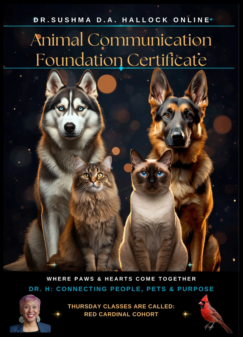 4-Part Animal Communication Foundation Certificate Thursday Program with Dr Sushma Hallock
