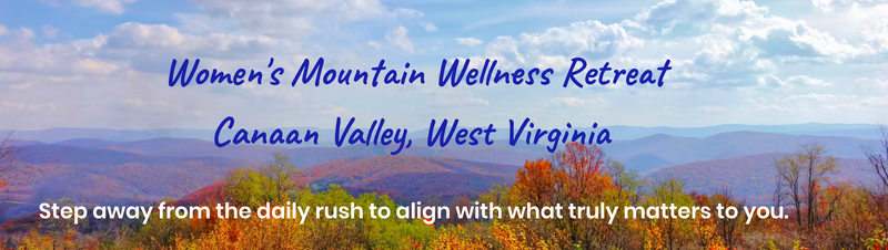 Women's Wellness Retreat with Nancy Shapiro