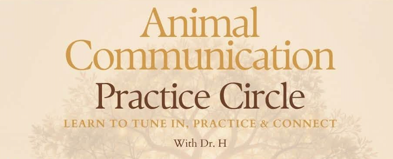 4-Part Intermediate Animal Communication Practice Circle with Dr H.