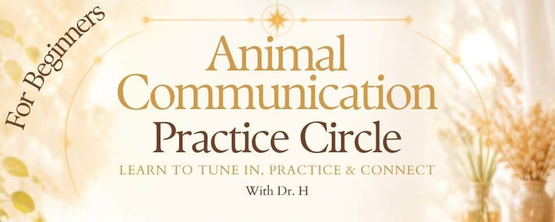 4-Part Beginner Animal Communication Practice Circle with Dr. H